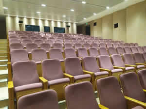 广州琶洲某知名企业会议厅礼堂椅定制图片